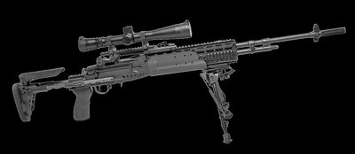 Mk 14 Enhanced Battle Rifle