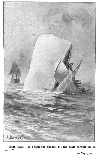 Moby Dick (Whale)