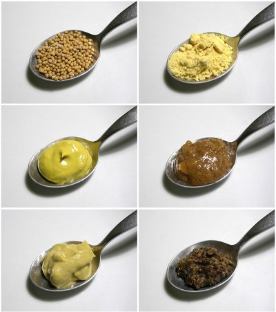 Mustard (condiment)