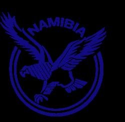 Namibia National Rugby Union Team