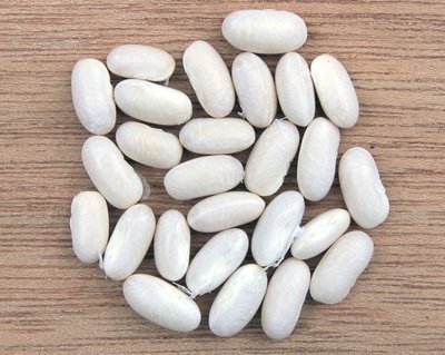 Navy bean