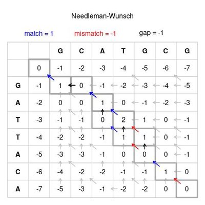 Needleman–Wunsch Algorithm