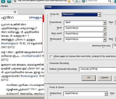 Netscape (Web Browser)