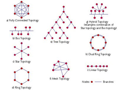 Network Topology