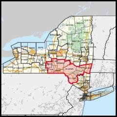 New York's 19th congressional district