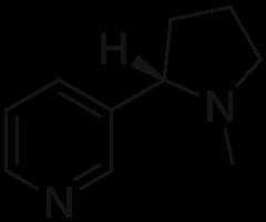 Nicotinic acetylcholine receptor