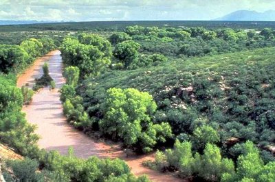 Nonpoint Source Pollution