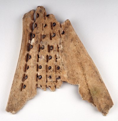 Oracle Bone