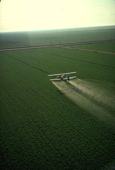 Pesticide