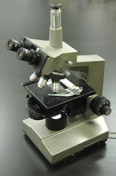 Phase-Contrast Microscopy