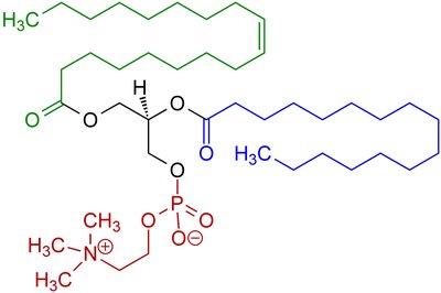Phosphatidylcholine