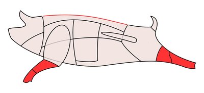 Pig's trotter