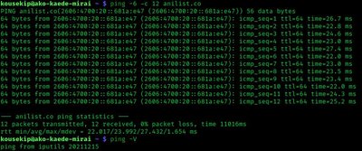 Ping (Networking Utility)