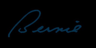 Political positions of Bernie Sanders