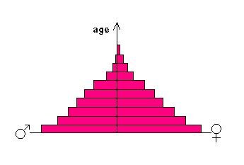 Population pyramid