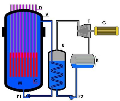 Pressurized Water Reactor