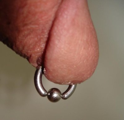 Prince Albert (Genital Piercing)