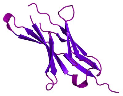 Programmed cell death protein 1