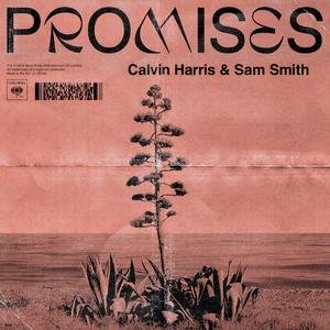 Promises (Calvin Harris And Sam Smith Song)