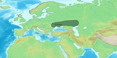 Proto-Indo-Europeans