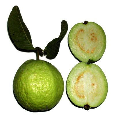 Psidium Guajava