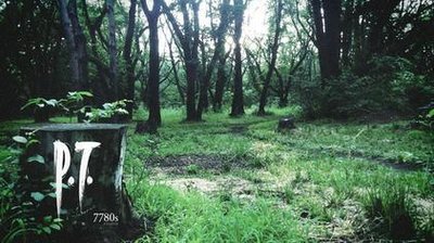 P.T. (Video Game)