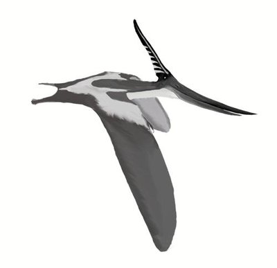 Pteranodon