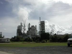 Pulp And Paper Industry