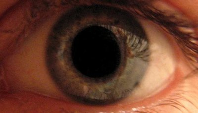 Pupillary Response