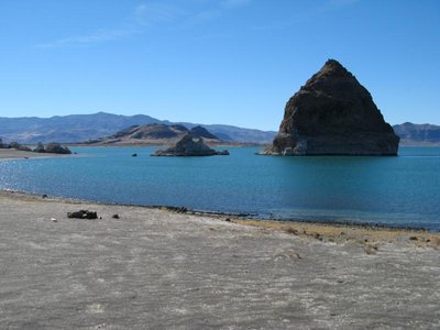 Pyramid Lake (Nevada)
