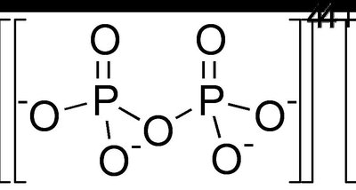 Pyrophosphate
