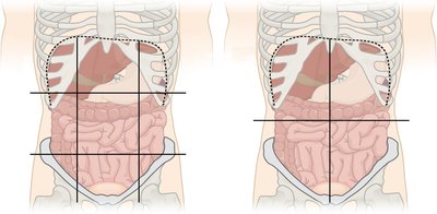 Quadrants And Regions Of Abdomen