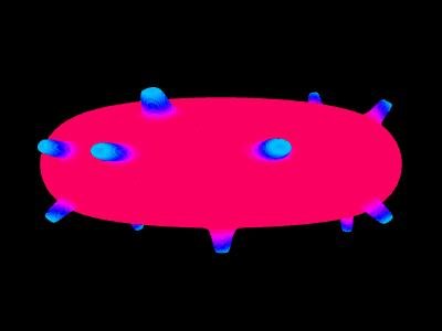 Reaction–Diffusion System