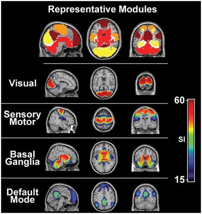 Resting State Fmri