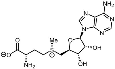 S-Adenosyl methionine