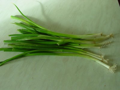 Scallion