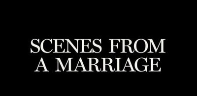 Scenes From A Marriage (American Miniseries)