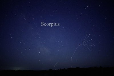 Scorpius