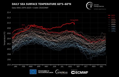 Sea Surface Temperature