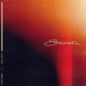 Señorita (Shawn Mendes and Camila Cabello song)