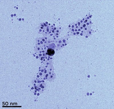 Silver Nanoparticle