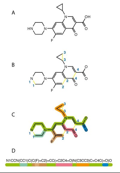 Simplified Molecular Input Line Entry System