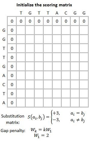 Smith–Waterman Algorithm