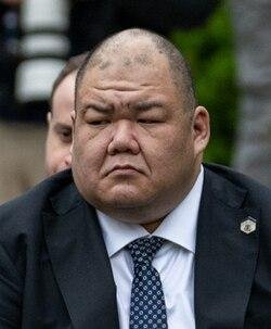 Steven Cheung (Political Advisor)