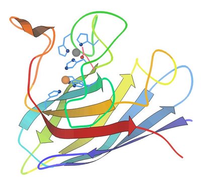 Superoxide Dismutase