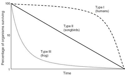 Survivorship Curve