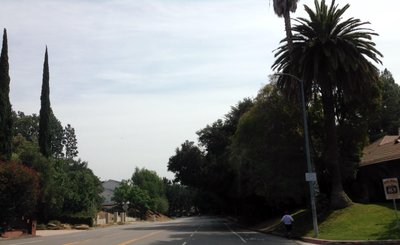 The 40-Year-Old Virgin