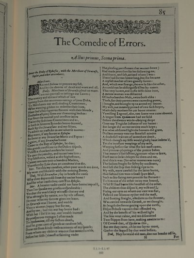 The Comedy of Errors