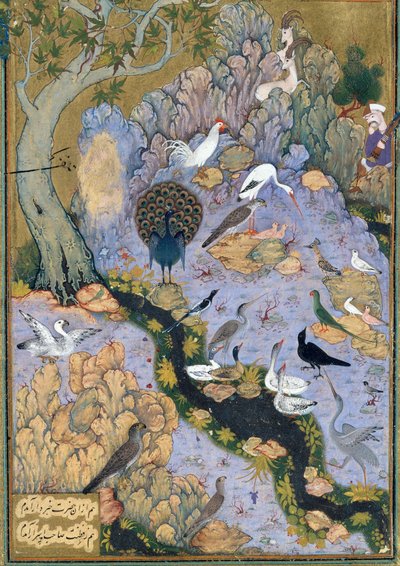 The Conference of the Birds