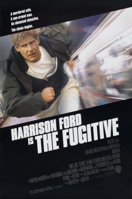 The Fugitive (1993 film)